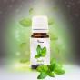 Essential oil Verana Basilic