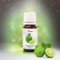 Essential oil Verana Bergamot