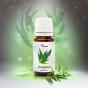 Essential oil Verana Eucalyptus